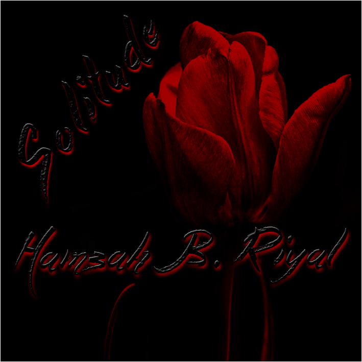 Solitude album artwork
